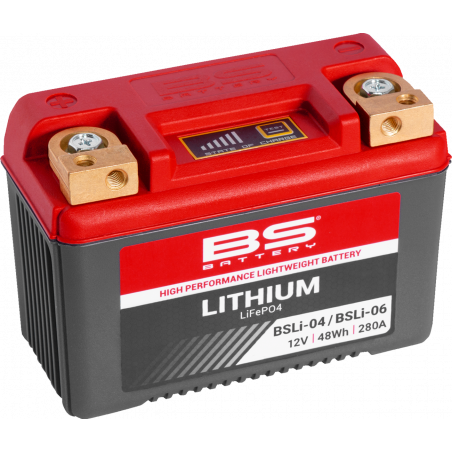 Lithium LiFePO4 Battery