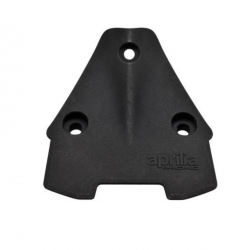 PLATE HOLDER HOLE COVER