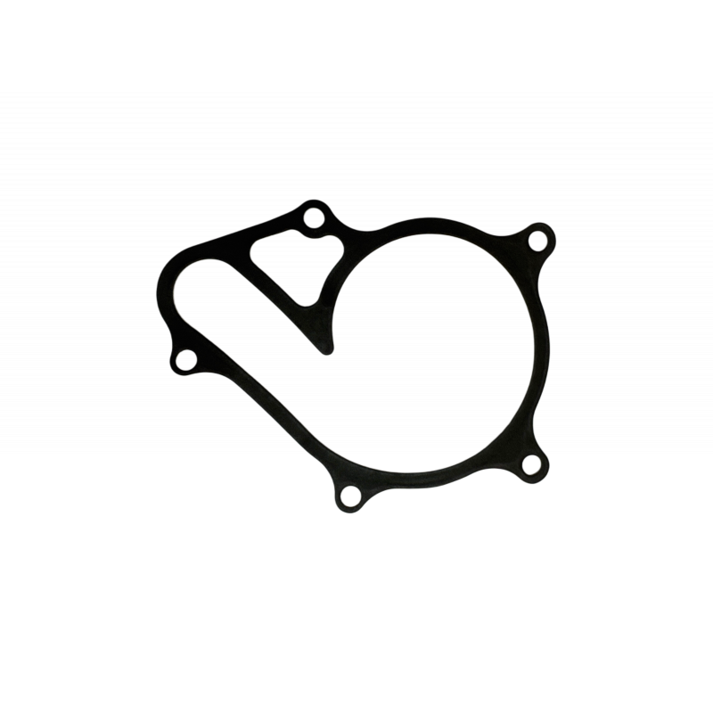 WATER PUMP GASKET