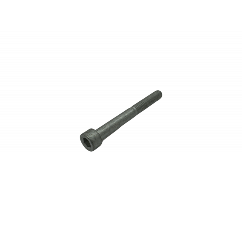 Hex socket screw M6x55