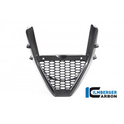 Ilmberger Bellypan one piece gloss Tuono V4 from 2021