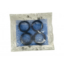 Front fork revision kit (ex 2B006021)