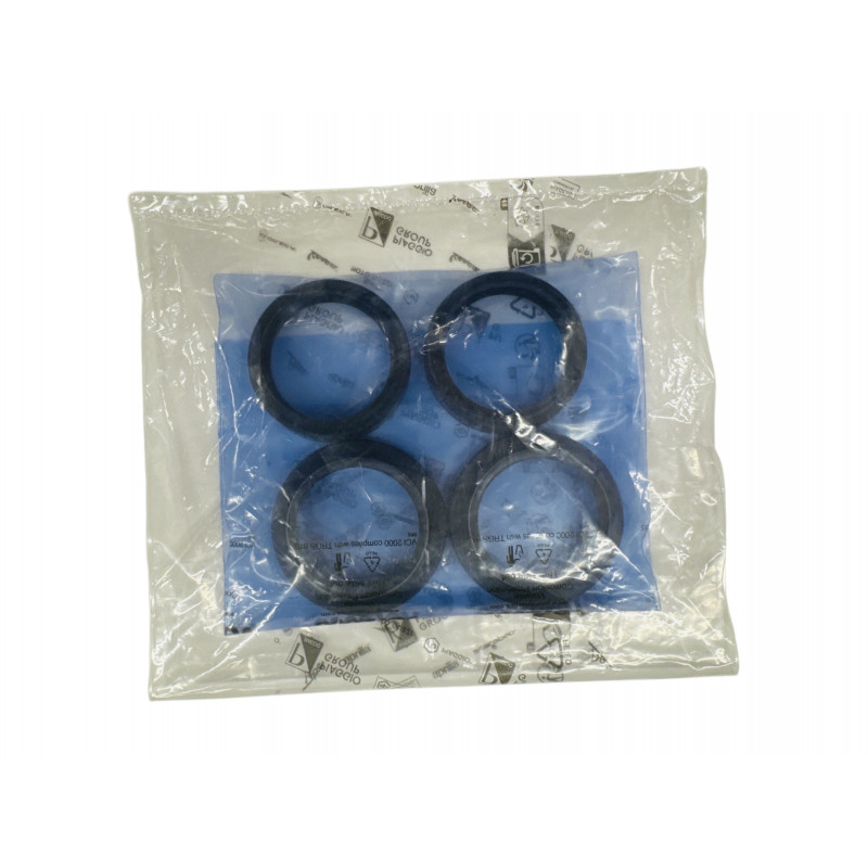 Front fork revision kit (ex 2B006021)