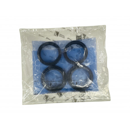 Front fork revision kit (ex 2B006021)